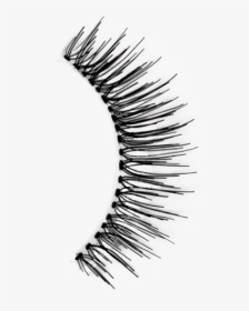 False Eyelashes Harpa    Data Src //cdn - Eyelash Extensions, HD Png Download, Transparent PNG